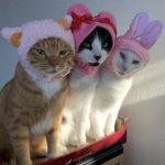 AdoptMeTwins