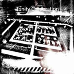 Trinity Corporation: The Endor Initiative.
