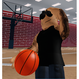 Basketball Court