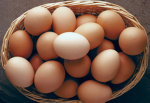 Egg Factory S.I.M