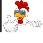 Cosmo chickens