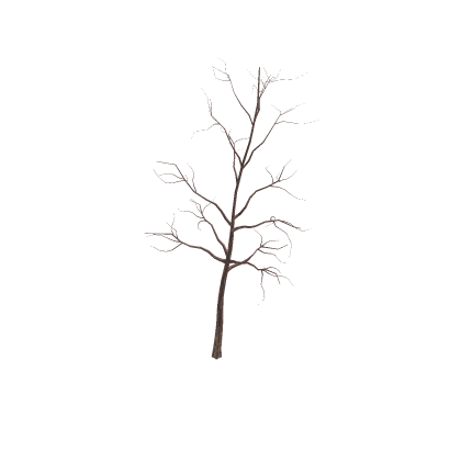 Dead Tree 3