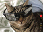 da cool kid’s