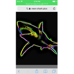 Neon shark fan group
