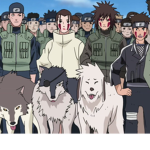 the shinobi life pack