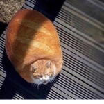 Uhm Just Bread