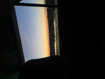 Berryave_Daphne