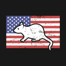 Training Military [Rat Pack]
