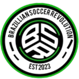 (DEFINITIVA!) BSR ARENA icon