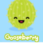 Goose berries