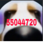 wasting robux all the t1me