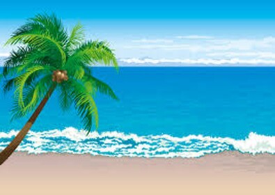 | TROPICAL | Ocean Homestore 🌊