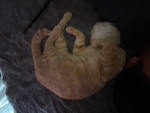 Leonelkinggg