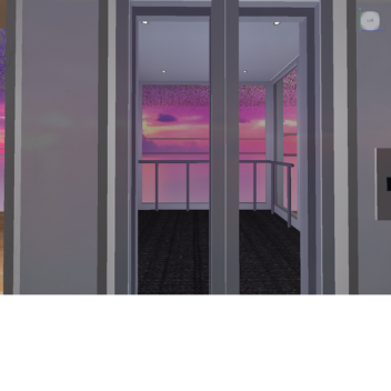 The Elevators