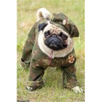 The_Pug_Army