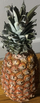 The Collective Of The Pineapple