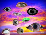 The reasonable Eye