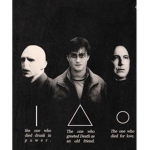 Harry Potter Ultimate Fan Group