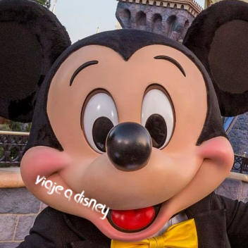 viaje a disney