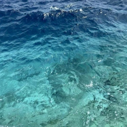 ╭・🌊˚ · .