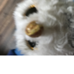 Thhrzutsataukrkrualtuakyhkks