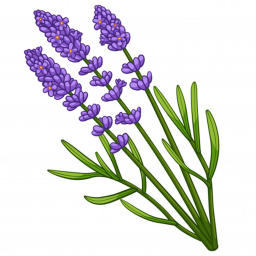 Lavender Hotel | Interview Centre