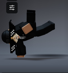 The Roblox Fan Club etc.