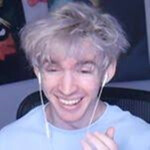 🦩
