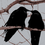 Còrvus