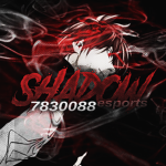 Shadow Esports