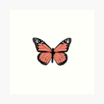 Ruby’s Beautiful butterfly’s