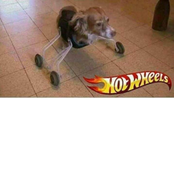 SAVE AMONG US AND RACOON OBBY!!! NEW! HD ADMIN