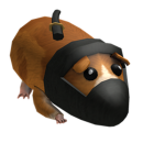 Guinea Pig SQAUD