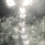 Celestial ~