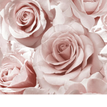 Elegant explores