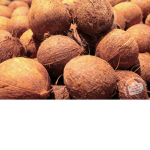 coconat coconat