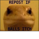 YAH YEET ME BOIZ