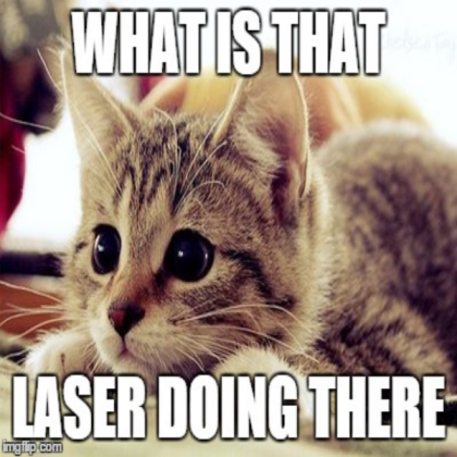funny cat laser Roblox decal