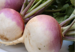 The Militant Turnips