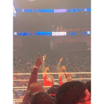 WWE we the ones