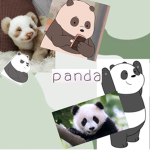 •Panda Huggies•