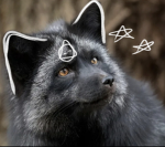 St0rmz_On_Paws therian and furry group
