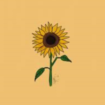 Sunflower Aesthetics Clothing