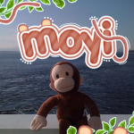 moyi