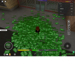 WorldWide Da Hood Cash