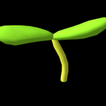 The Sprout Kingdom