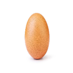 GET THE EGG TO THE FRONT OF ROBLOX'S GAME PAGE