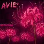 avie’