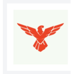 Falcon Studios Development Team