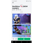 BedwarsProPlayers(official)